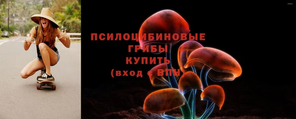 PSILOCYBIN Богородск