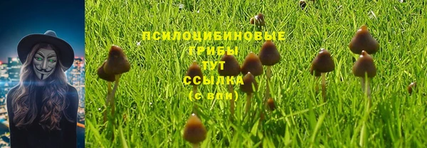 PSILOCYBIN Богородск